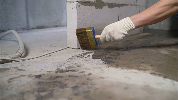 Top rated local Wet Basement Repair specialists in Robbins, TN